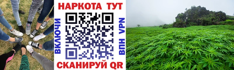 Где продают наркотики Алексеевка Кокаин  Героин  hydra ссылки  Мефедрон  A-PVP  АМФ  ГАШ 