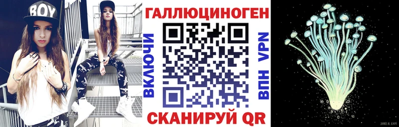 Псилоцибиновые грибы Cubensis  магазин продажи   Алексеевка 