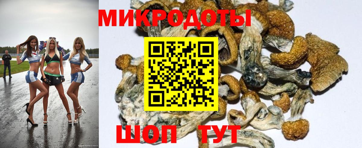 Галлюциногенные грибы прущие грибы Алексеевка
