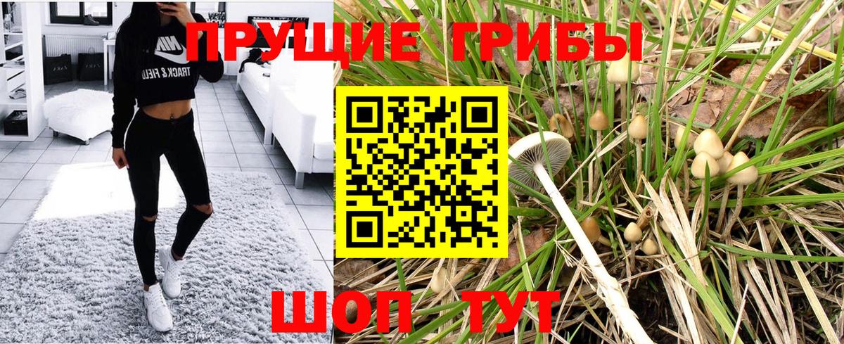 Галлюциногенные грибы Psilocybine cubensis  Вход с VPN  Алексеевка 