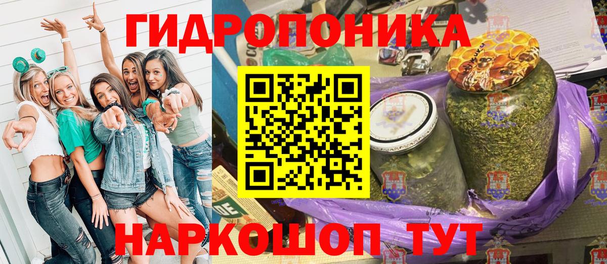 Конопля Ganja Алексеевка